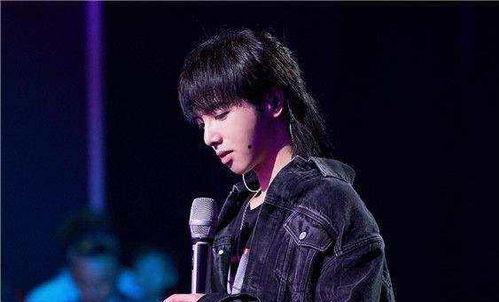 娱乐吃瓜华晨宇是谁,娱乐吃瓜界的风云人物